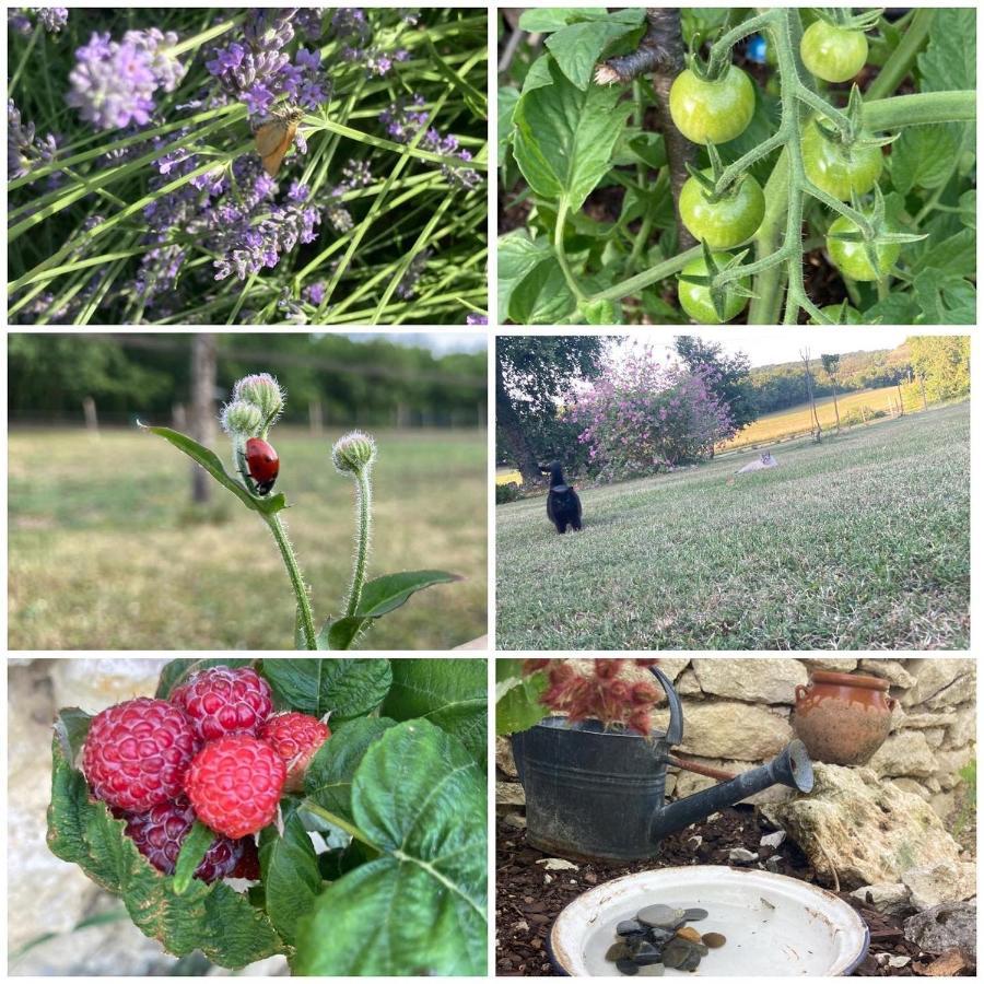 Les Fontanelles Du Quercy Blanc Βίλα Montcuq Εξωτερικό φωτογραφία
