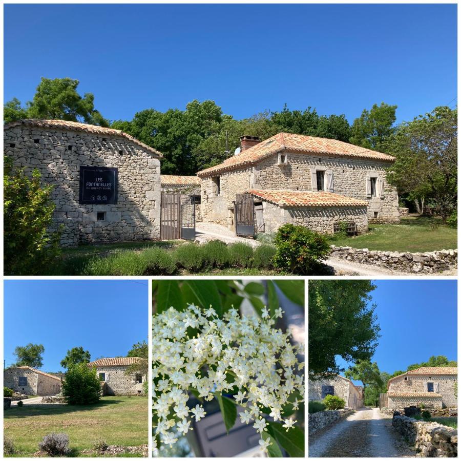 Les Fontanelles Du Quercy Blanc Βίλα Montcuq Εξωτερικό φωτογραφία